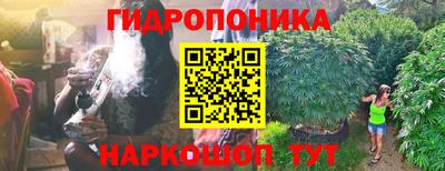 ГАЛЛЮЦИНОГЕННЫЕ ГРИБЫ Изобильный